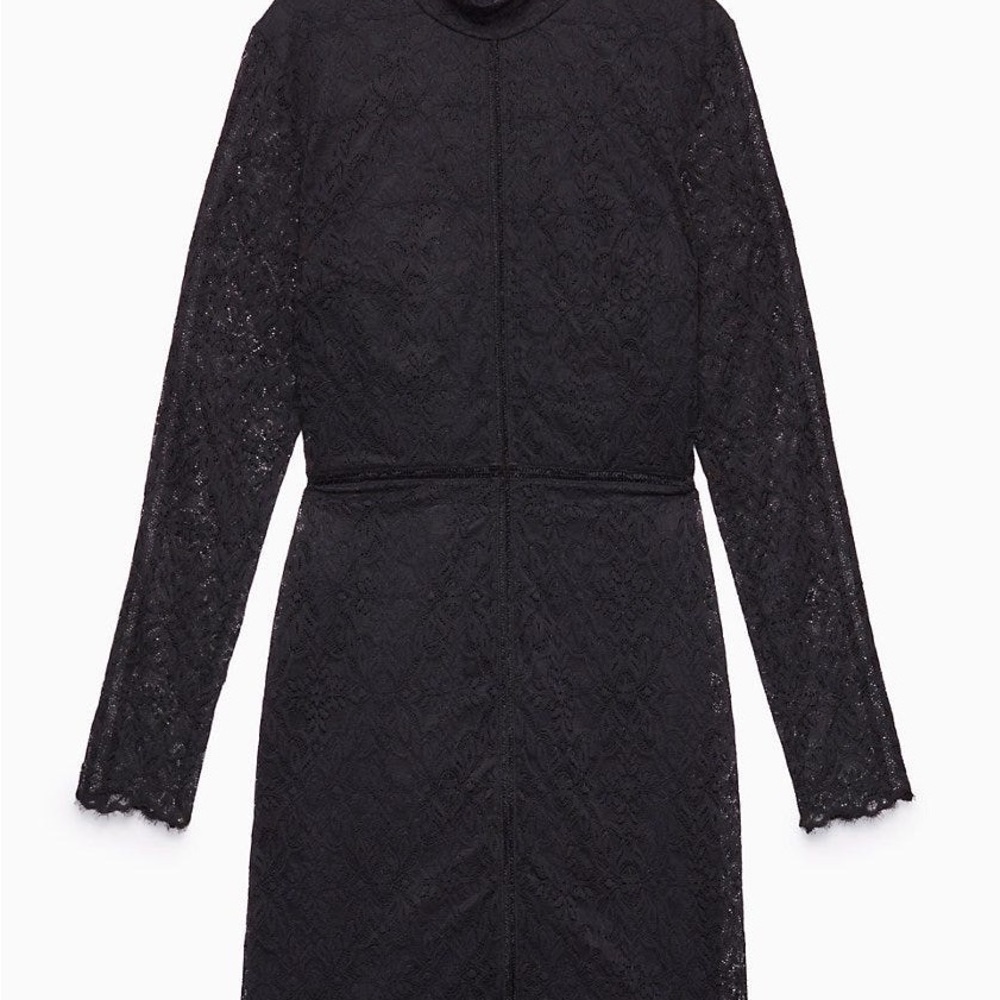 Aritzia Wilfred Lace Dress